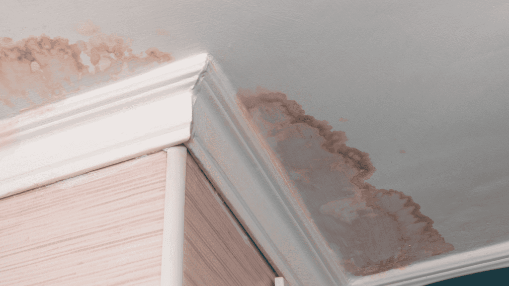 Nashville Plumbing Scary Ceiling Leaks Parthenon Plumbing Heating & Cooling