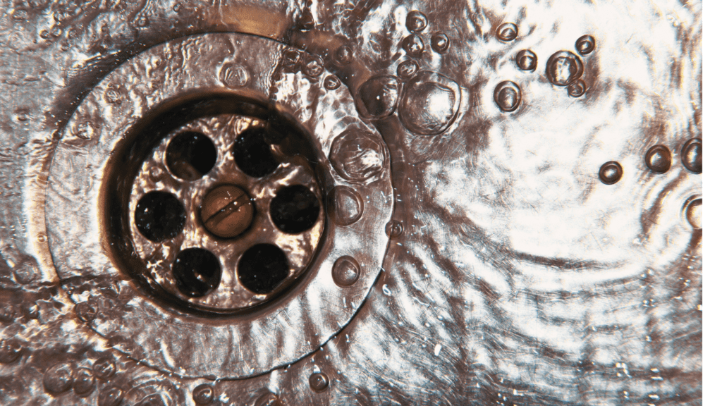 Nashville Plumbing Scary Fall Trees Parthenon Plumbing Heating & Cooling