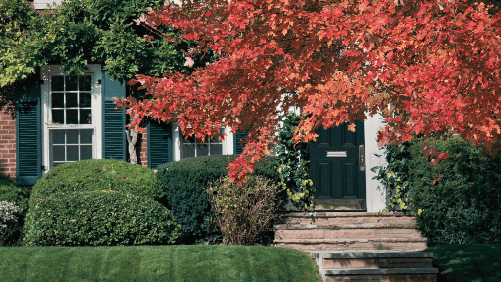 Nashville Plumbing Scary Outdoor Spigot Parthenon Plumbing Heating & Cooling