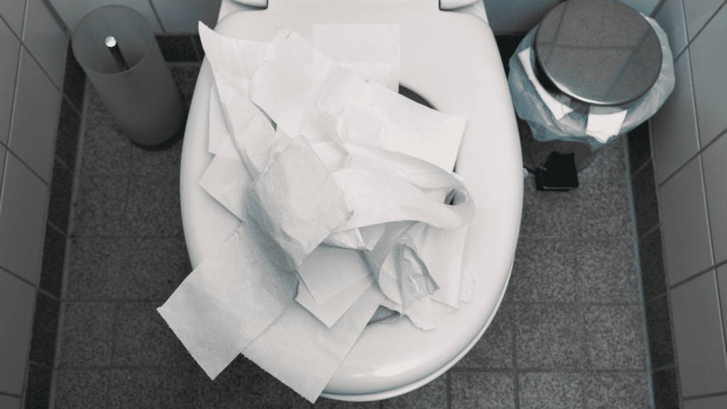 Nashville Plumbing Scary Toilet Parthenon Plumbing Heating & Cooling